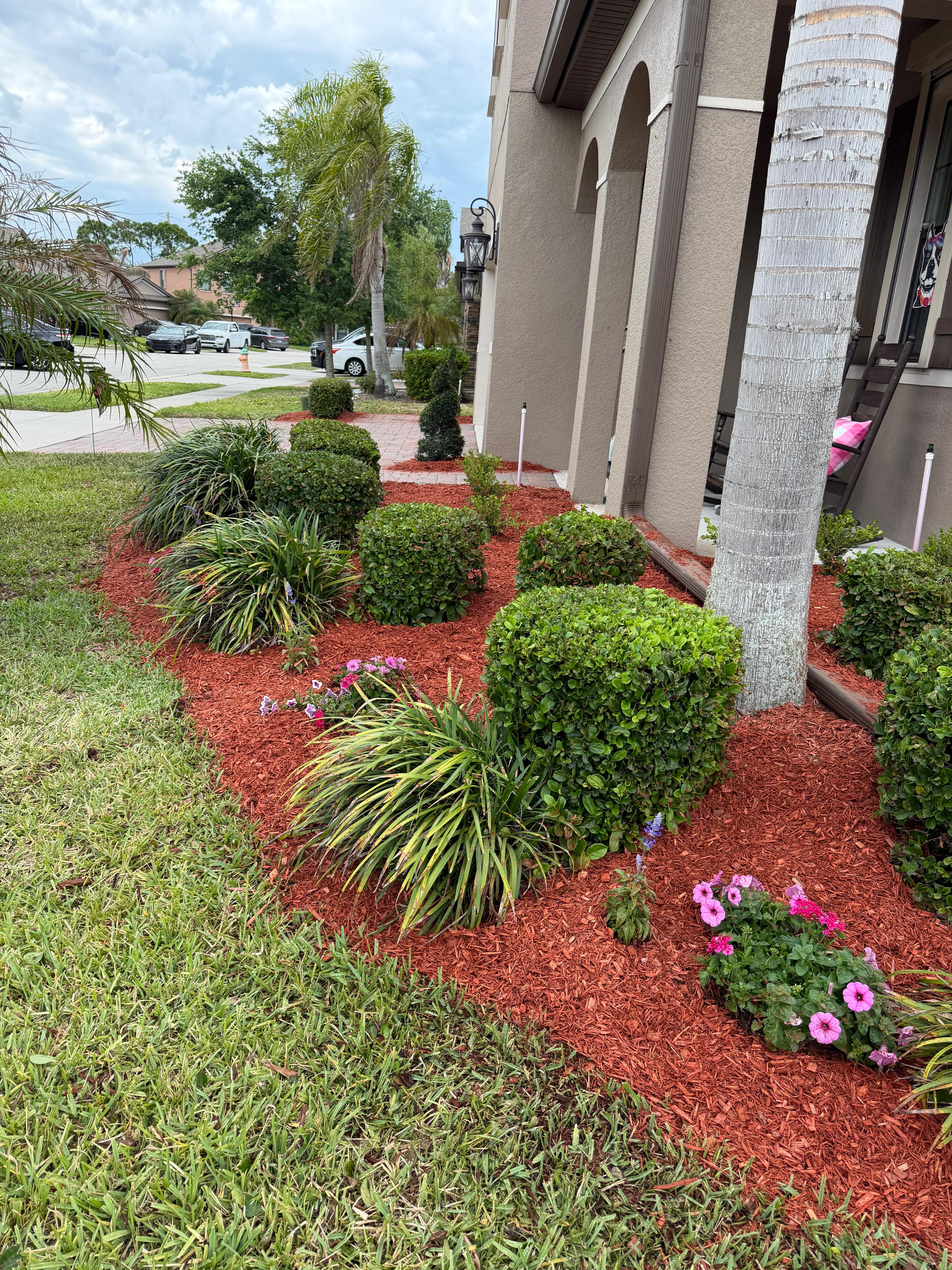 Landscaping after 1