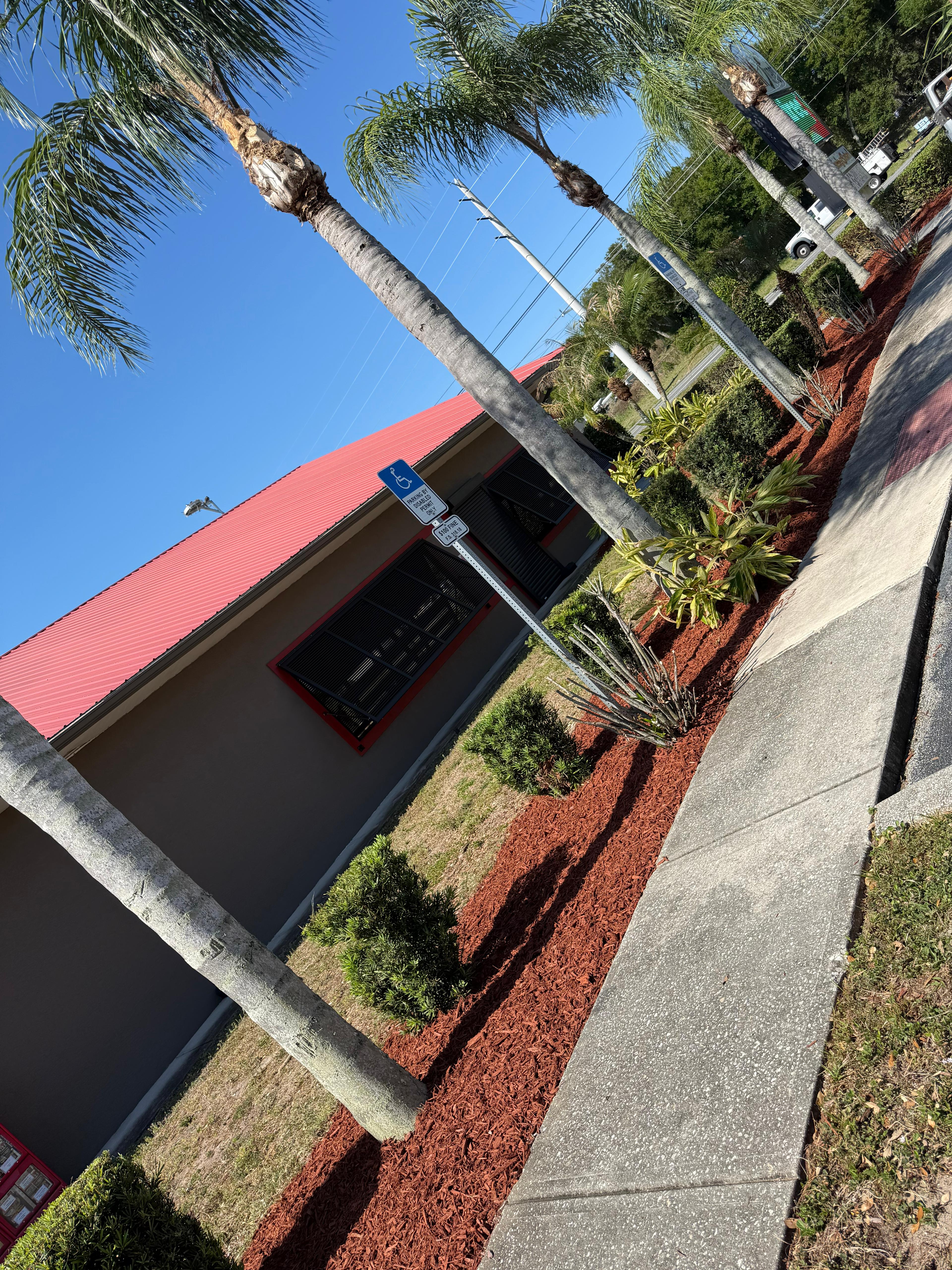 Landscaping after 2
